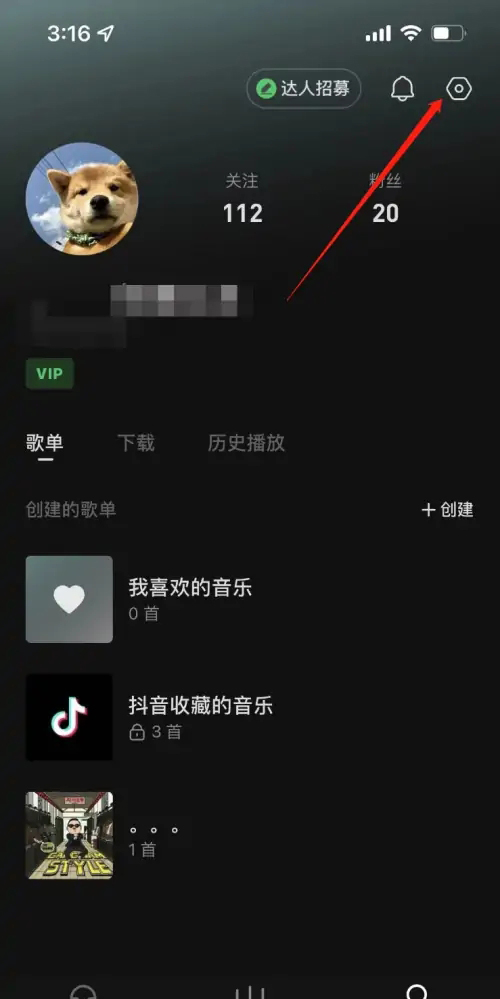 《汽水音乐》如何设置音质