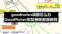 GoodNotes 5