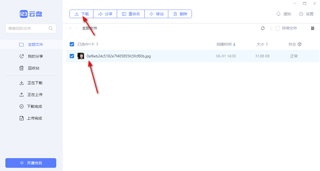 《123云盘》怎么下载文件