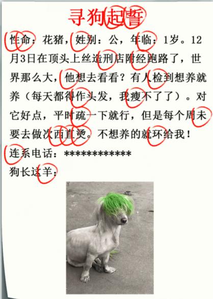 《疯狂梗传》寻狗启示录怎么过