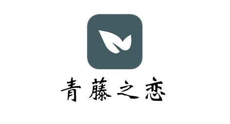 《青藤之恋》如何开启隐身