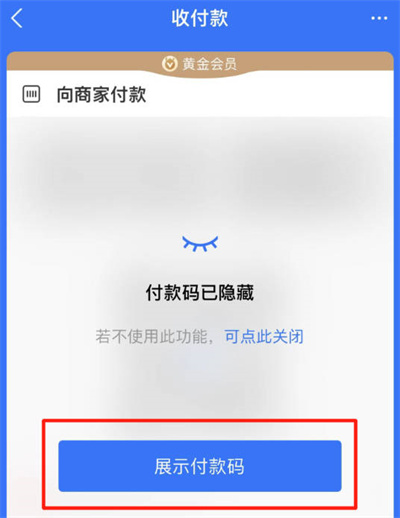 《支付宝》怎么设置自动隐藏收付款码