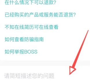 《Boss直聘》查询在线客服操作方法介绍