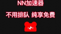 NN加速器