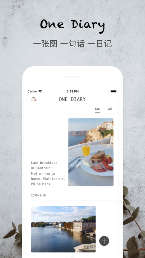 One Diary高级版5